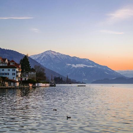 Ariser - Zug Mountain View Business Apartment المظهر الخارجي الصورة